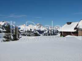 Winter Image, Swiss Alps