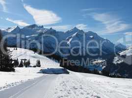 Beautiful Sledging Path In The Bernese Oberland