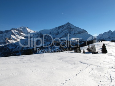 Winter In The Bernese Oberland, Wispile