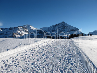 Winter Scenery Near Gstaad, Spitzhorn
