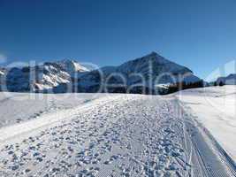 Winter Scenery Near Gstaad, Spitzhorn