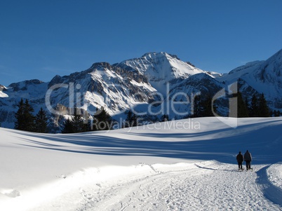 Winter Scenery In The Bernese Oberland