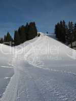 Sledging Path In the Bernese Oberland
