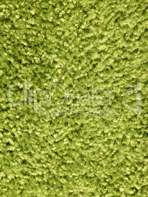Thick luxury green carpet close up