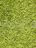 Thick luxury green carpet close up