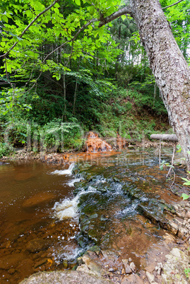 Small river flowing in the forest Small river flowing in the forest