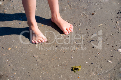 Kinderfüße am Strand