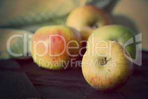 Frische Äpfel