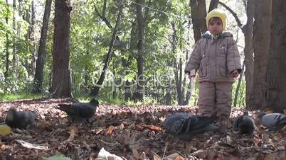 Boy feed pigeons