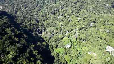 Aerial fly over tropical forest on hills