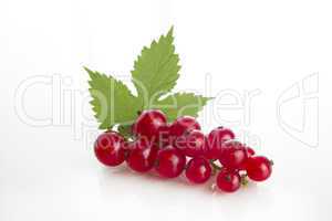 Johannisbeeren