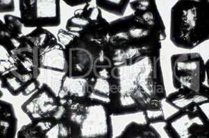 sugar crystals in microscope