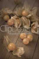 Physalis