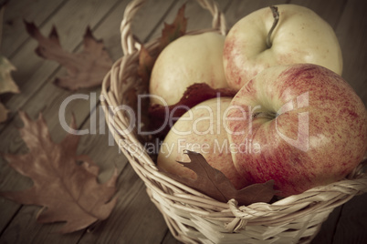 apfelernte
