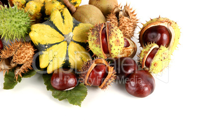 autumna fruits