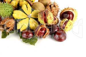 autumna fruits
