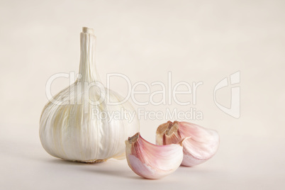 garlic in detail