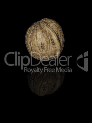 A walnut