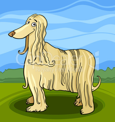cartoon afghan hound dog