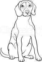 beagle dog cartoon for coloring book