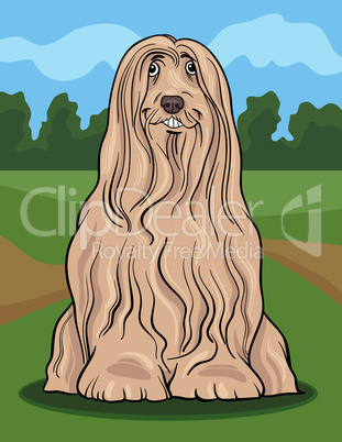 bearded collie dog cartoon illustration