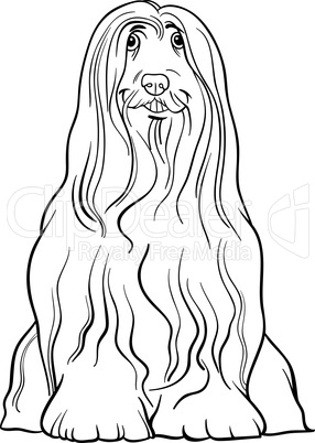 bearded collie dog cartoon for coloring