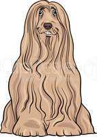 bearded collie dog cartoon illustration