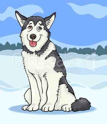 husky or malamute dog cartoon illustration