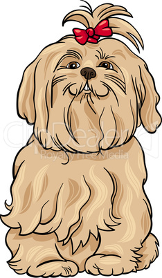 maltese dog cartoon illustration