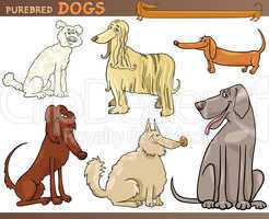 purebred dogs cartoon set