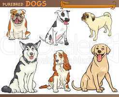 purebred dogs cartoon illustration set