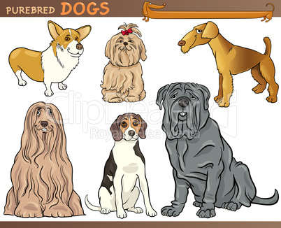 purebred dogs cartoon illustration set