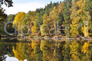 Herbst am See