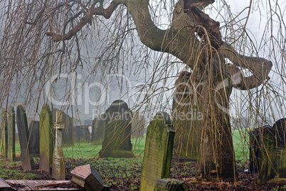 Spooky old cemetery on a foggy day