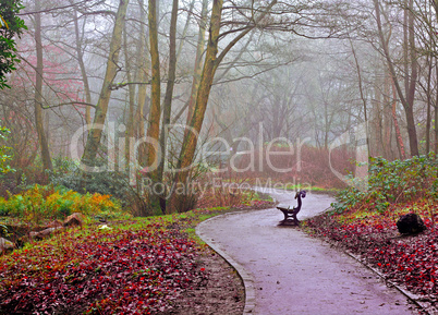 Park bench on a foggy day