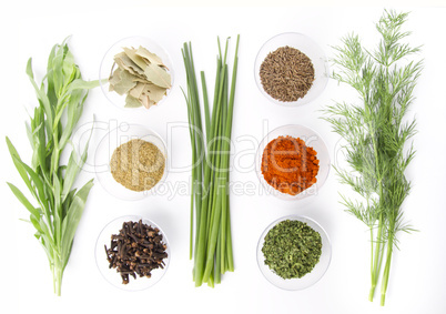 spices assortment