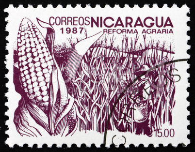 Postage stamp Nicaragua 1983 Coffee Beans, Agrarian Reform