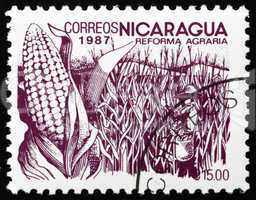 Postage stamp Nicaragua 1983 Coffee Beans, Agrarian Reform