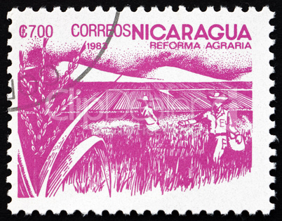 Postage stamp Nicaragua 1983 Rice Paddy, Agrarian Reform