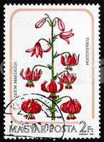 Postage stamp Hungary 1985 Turk?s Cap Lily, Flower
