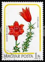 Postage stamp Hungary 1985 Fire Lily, Flower