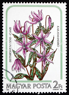 Postage stamp Hungary 1985 Dogtooth Violet, Flower