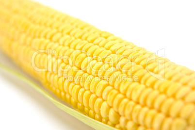 Corn on the cob