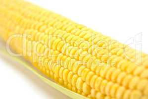 Corn on the cob