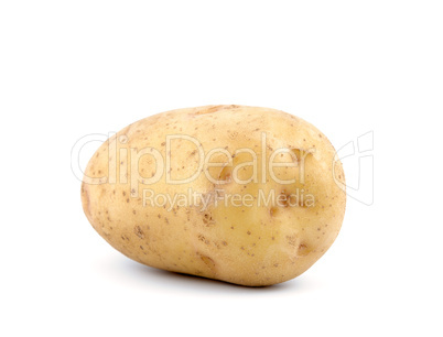 Potato