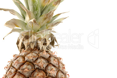 Pineapple isolated on white