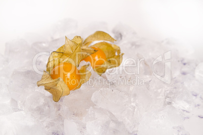 physalis