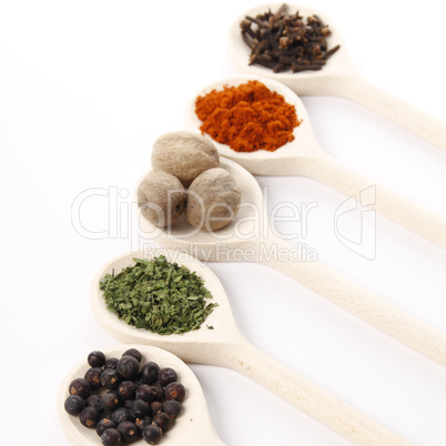 spices on wooden spoons