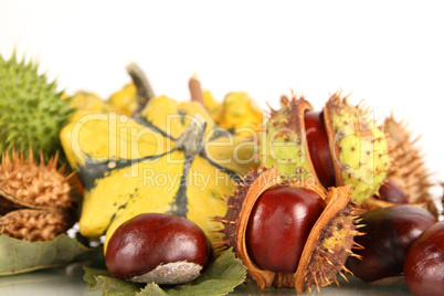 autumnal fruits