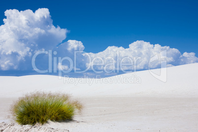 Almost nothing but white sand